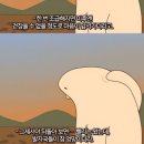 젤루조아