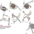 24시알파동물메디컬센터 이미지