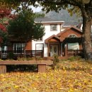 계곡위언덕펜션 이미지