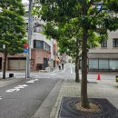 김갱생 | 도쿄여행 / 스시오마카세 Sushihiroya, 이케부쿠로 선샤인시티, 도쿄 해리포터 스튜디오, 스시로 - 3일