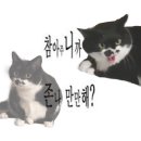 카페그린리 이미지