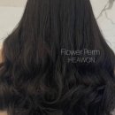 에이치헤어(H.hair)