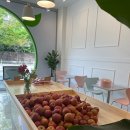 에이치팜 이미지