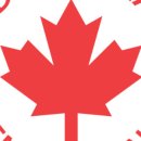 신지약국 이미지