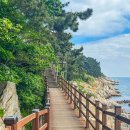 "1박 3식까지 챙겨준다고요?"... 5060세대 사이 입소문 난 3.7km 섬 트레킹 명소 이미지