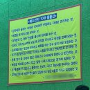비룡체육관 | 도전 17