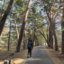 속리산보건지소 이미지