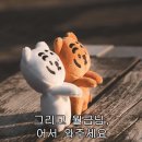 쫌쫌따리 봄 맞이 쇼핑 모음.zip🌼💛(써머레브, 유알, 시에, 메비, 꼼데, sjsj, 크록스)