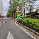 대공원대로, 대공원광장대로 이미지