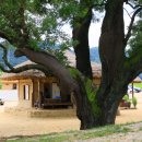 참사랑주막 이미지