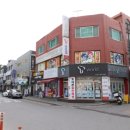 용인대 수 태권도장 이미지