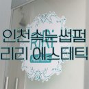 리리 에스테틱