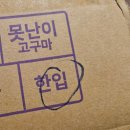 온앤올