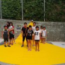 옐로카펫 이미지