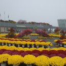 거창-마리-1 이미지