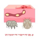 해오름약국 이미지