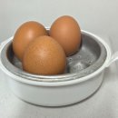 꼬끼오 | [광고]🥚 꼬끼오 계란찜기 4구 사용 후기 – 삶은 계란이 이렇게 간편할 수 있다고?