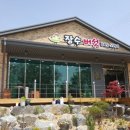 장수버섯 이미지