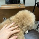 금천스파 | [서울/금천] 독산동 미용실 ‘순수 ’금천독산점 힐링 헤드스파 후기