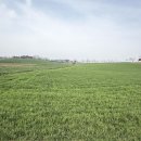 해원산업 | 한(韓) — 상처 입은 자들의 언어