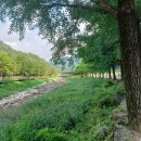 (세종시 인근 산) 문경새재 주흘산 산행