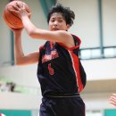 분당-176 이미지