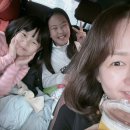 수희농장 | 베이비송:::컴백! 그렇게 많이 먹었는데도 괜찮은건 아무래도 애콤초덕분!!! / 2024년 첫 조생 유라감귤...