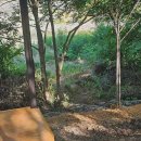 온새미로민박 이미지