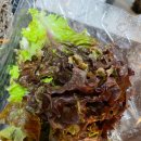 도가원족발부천위브점 이미지