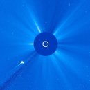 B.F boxing 이미지