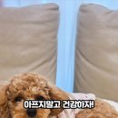 (주)아이녹스 네이버블로그