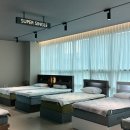 Z PC(기흥점) | 베스트슬립 광교 쇼룸 | Z10B 킹사이즈 견적 공유, 가성비 신혼 매트리스 추천