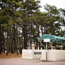 은빛모래야영장 이미지