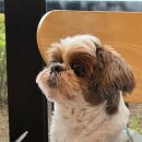 김쪼꼬미용실 이미지