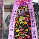 서포초등학교 이미지