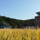 세원태양광발전소 이미지