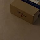 도그레온 | 모자를 추천해요