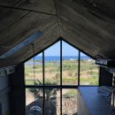 달토르펜션 | 제주도 숙소ㅣ협재 해수욕장 근처 독채펜션 달토르펜션 내돈내산후기