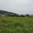 고동영공인중개사사무소 이미지