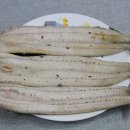 힘짱민물장어 이미지