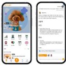 플레이펫 전자신문