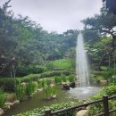 봉제산근린공원 이미지