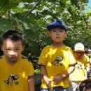 천곡중앙어린이집 이미지