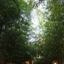 상주읍성 문화거리 이미지