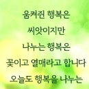 이팔저팔