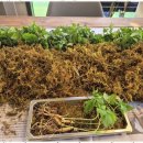 청출어람태권도장 이미지