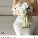 이화플라워 - 서초구 강남대로 27 | 🦢w8.대구 웨딩촬영부케 이화플라워 대만족 솔직후기 ,ona 부케 추천