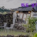 노천민박 | 제주도 민박 숙소 추천 하도 생각나 제주도 하도리의 특별한 감성 숙소