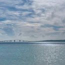 NR-77[대교로]-하-5 | 일본/여행] 행복한 미야코지마 뚜벅이 여행기(바다수영,맛집탐방,버스투어)