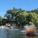 [손바닥위를..] 왜 시작을 어렵다는 12연기법으로?. 이미지